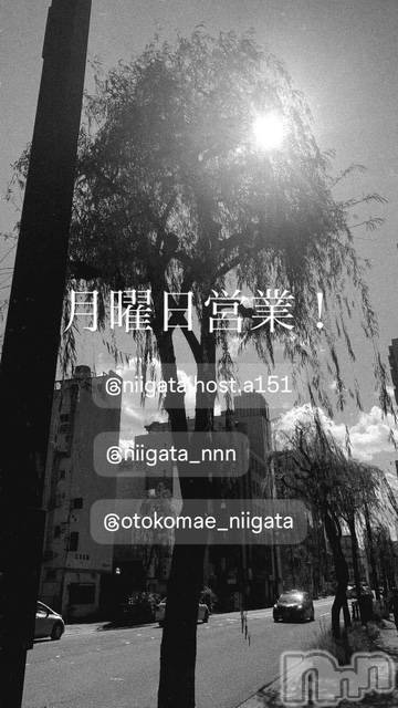 ��Į�ۥ��ȡ��ܡ������С�A151(�����������ݥ���) �褦��3��23���̥�֥����ַ�������