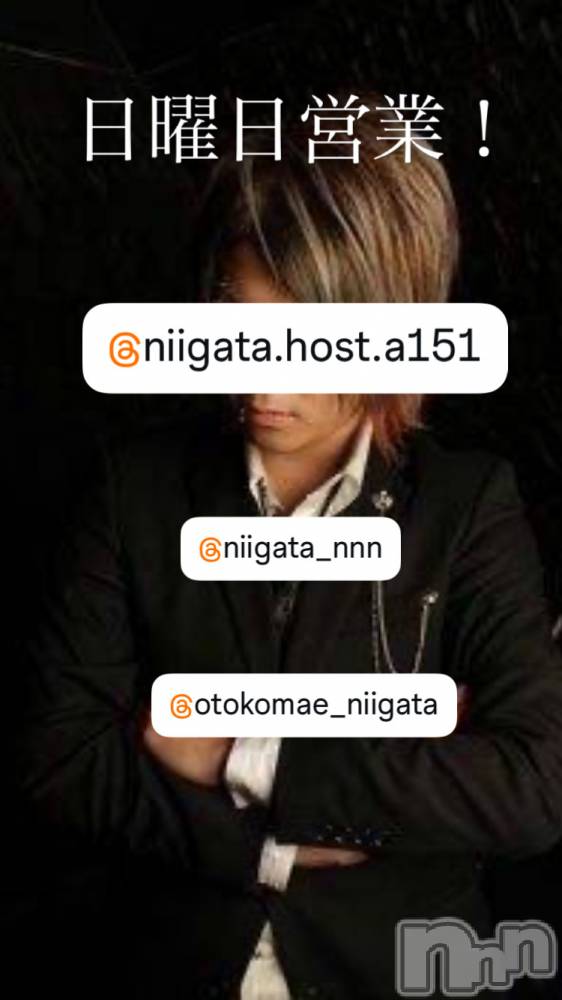 ��Į�ۥ��ȡ��ܡ������С�A151(�����������ݥ���) �褦��4��5���̥�֥�������������