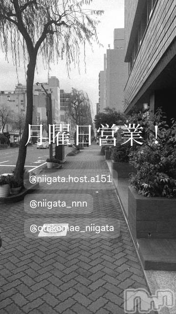 ��Į�ۥ��ȡ��ܡ������С�A151(�����������ݥ���) �褦��4��6���̥�֥����ַ�������