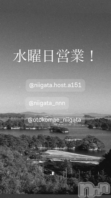 ��Į�ۥ��ȡ��ܡ������С�A151(�����������ݥ���) �褦��4��8���̥�֥����ֿ�������