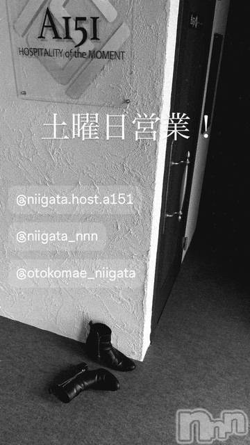 ��Į�ۥ��ȡ��ܡ������С�A151(�����������ݥ���) �褦��4��11���̥�֥�������������