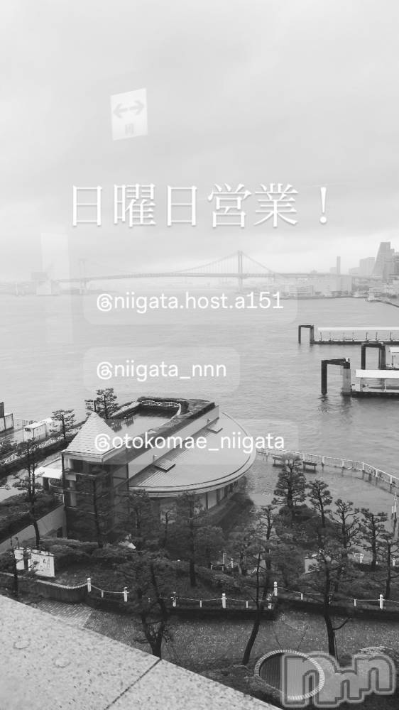 ��Į�ۥ��ȡ��ܡ������С�A151(�����������ݥ���) �褦��4��12���̥�֥�������������