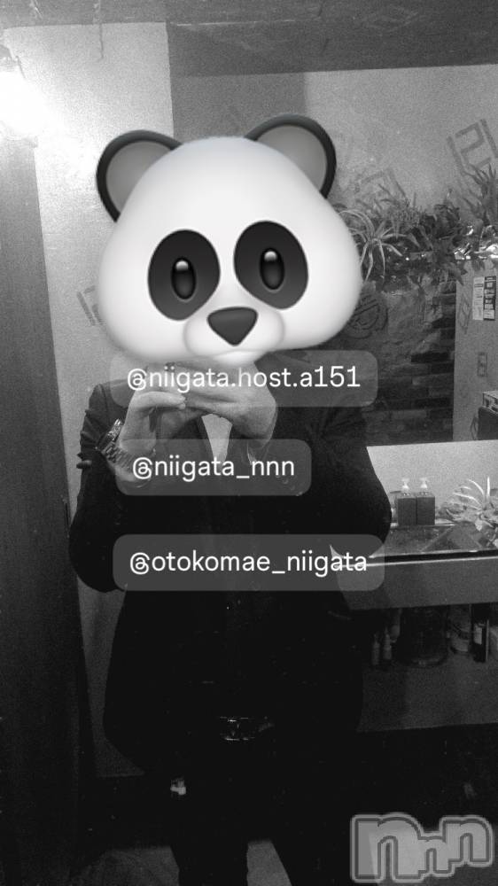 ��Į�ۥ��ȡ��ܡ������С�A151(�����������ݥ���) �褦��4��13���̥�֥����ַ�������