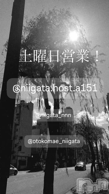 ��Į�ۥ��ȡ��ܡ������С�A151(�����������ݥ���) �褦��4��18���̥�֥�������������