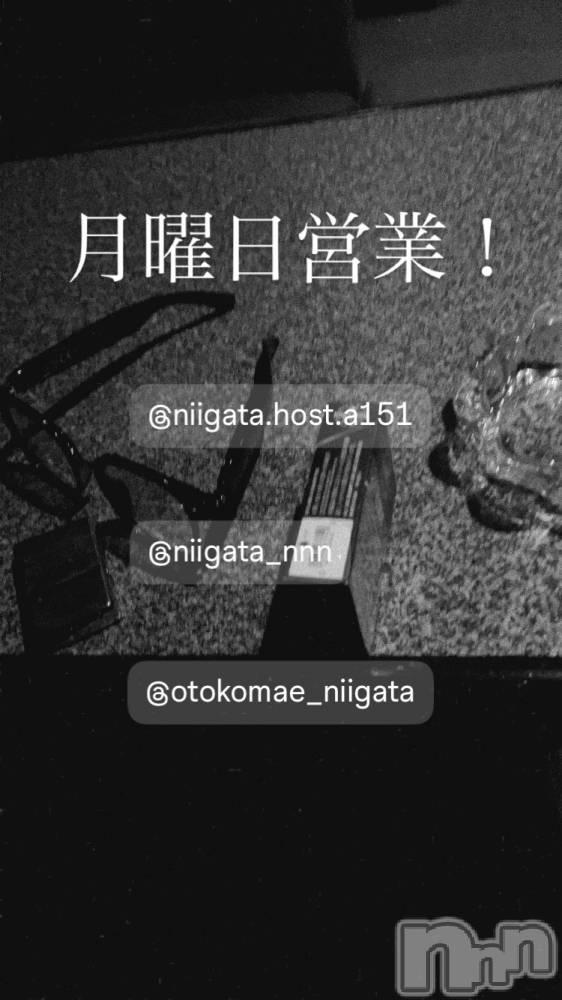 ��Į�ۥ��ȡ��ܡ������С�A151(�����������ݥ���) �褦��4��20���̥�֥����ַ�������