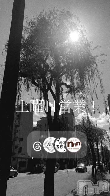 ��Į�ۥ��ȡ��ܡ������С�A151(�����������ݥ���) �褦��7��4���̥�֥�������������
