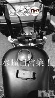 ��Į�ۥ��ȡ��ܡ������С� A151(�����������ݥ���) �褦�μ̥�֥����ֿ�������
