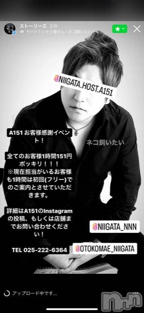 ��Į�ۥ��ȡ��ܡ������С�A151(�����������ݥ���) ��2022ǯ8��2���̥�֥����ֲ�������