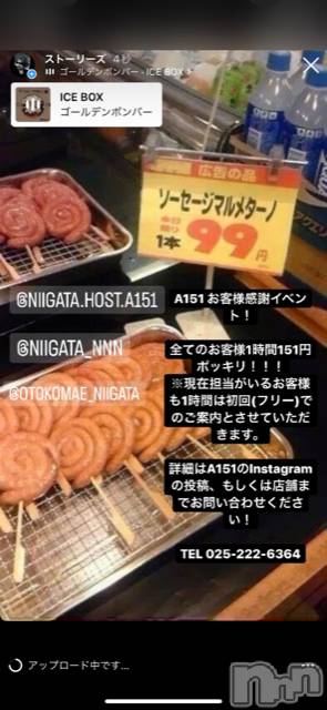 ��Į�ۥ��ȡ��ܡ������С�A151(�����������ݥ���) ��2022ǯ8��10���̥�֥����ֿ�������