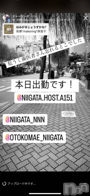 ��Į�ۥ��ȡ��ܡ������С�A151(�����������ݥ���) ��2022ǯ9��2���̥�֥����ֶ�������