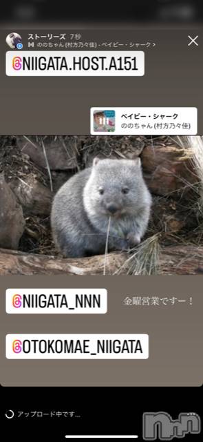 ��Į�ۥ��ȡ��ܡ������С�A151(�����������ݥ���) ��2022ǯ10��7���̥�֥����ֶ�������