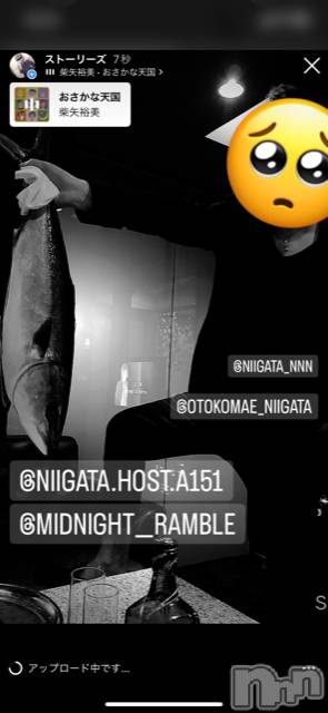 ��Į�ۥ��ȡ��ܡ������С�A151(�����������ݥ���) ��2022ǯ10��10���̥�֥����ַ�������