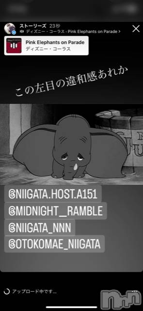 ��Į�ۥ��ȡ��ܡ������С�A151(�����������ݥ���) ��2022ǯ11��5���̥�֥�������������