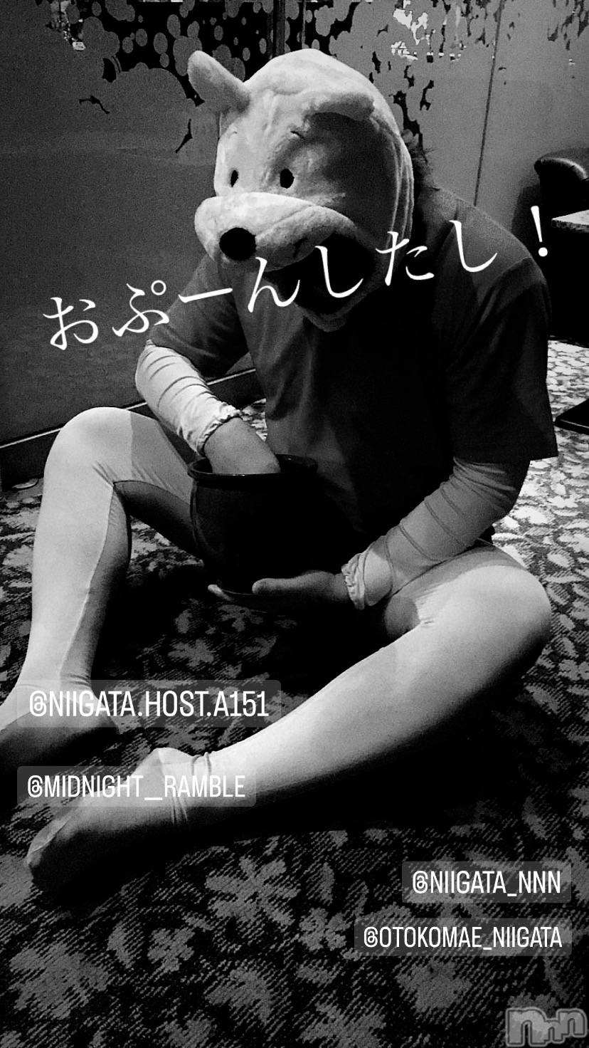 ��Į�ۥ��ȡ��ܡ������С�A151(�����������ݥ���) ��2023ǯ7��12���̥�֥����ֿ�������