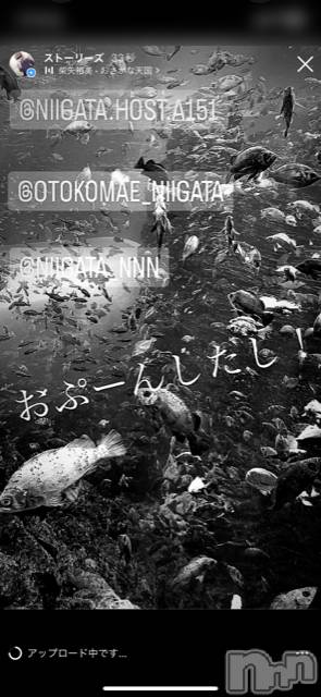 ��Į�ۥ��ȡ��ܡ������С�A151(�����������ݥ���) ��2023ǯ7��28���̥�֥����ֶ�������