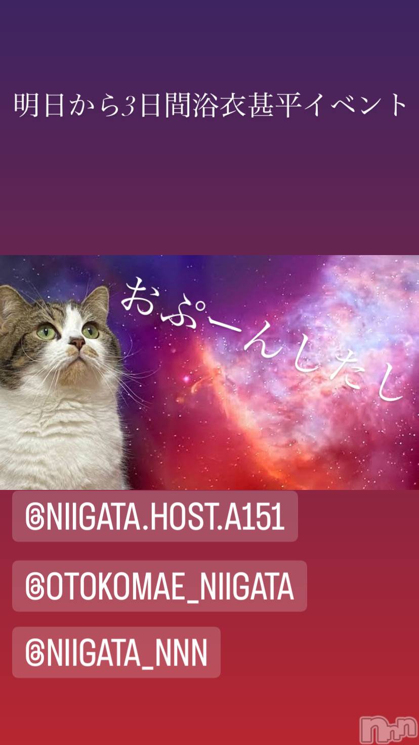 ��Į�ۥ��ȡ��ܡ������С�A151(�����������ݥ���) ��2023ǯ8��3���̥�֥�������������