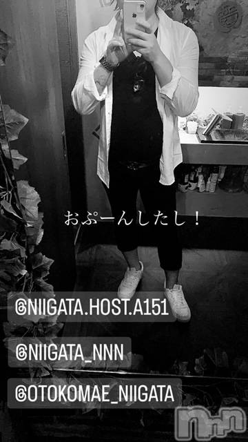 ��Į�ۥ��ȡ��ܡ������С�A151(�����������ݥ���) ��2023ǯ8��9���̥�֥����ֿ�������