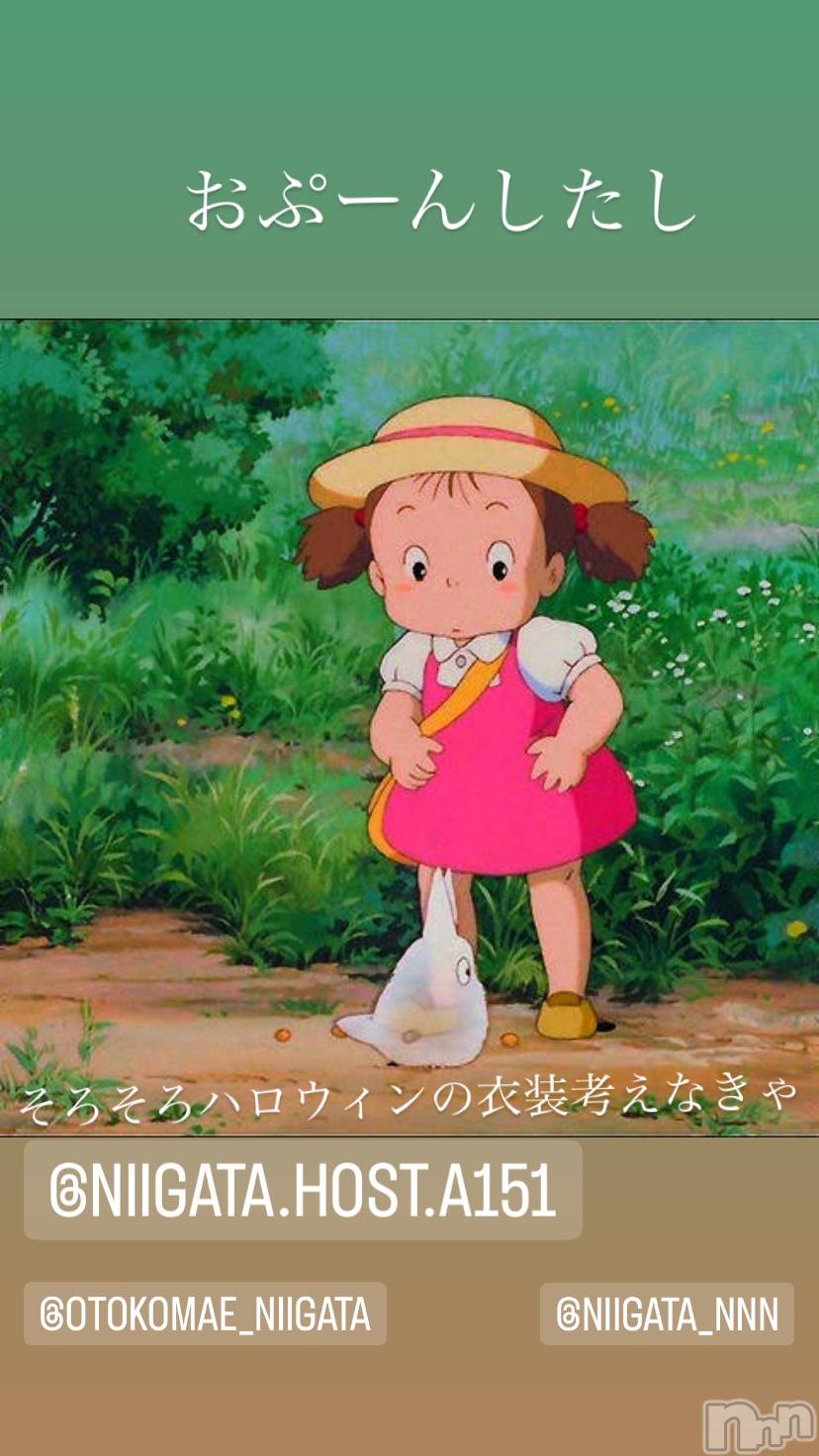 ��Į�ۥ��ȡ��ܡ������С�A151(�����������ݥ���) ��2023ǯ8��10���̥�֥�������������