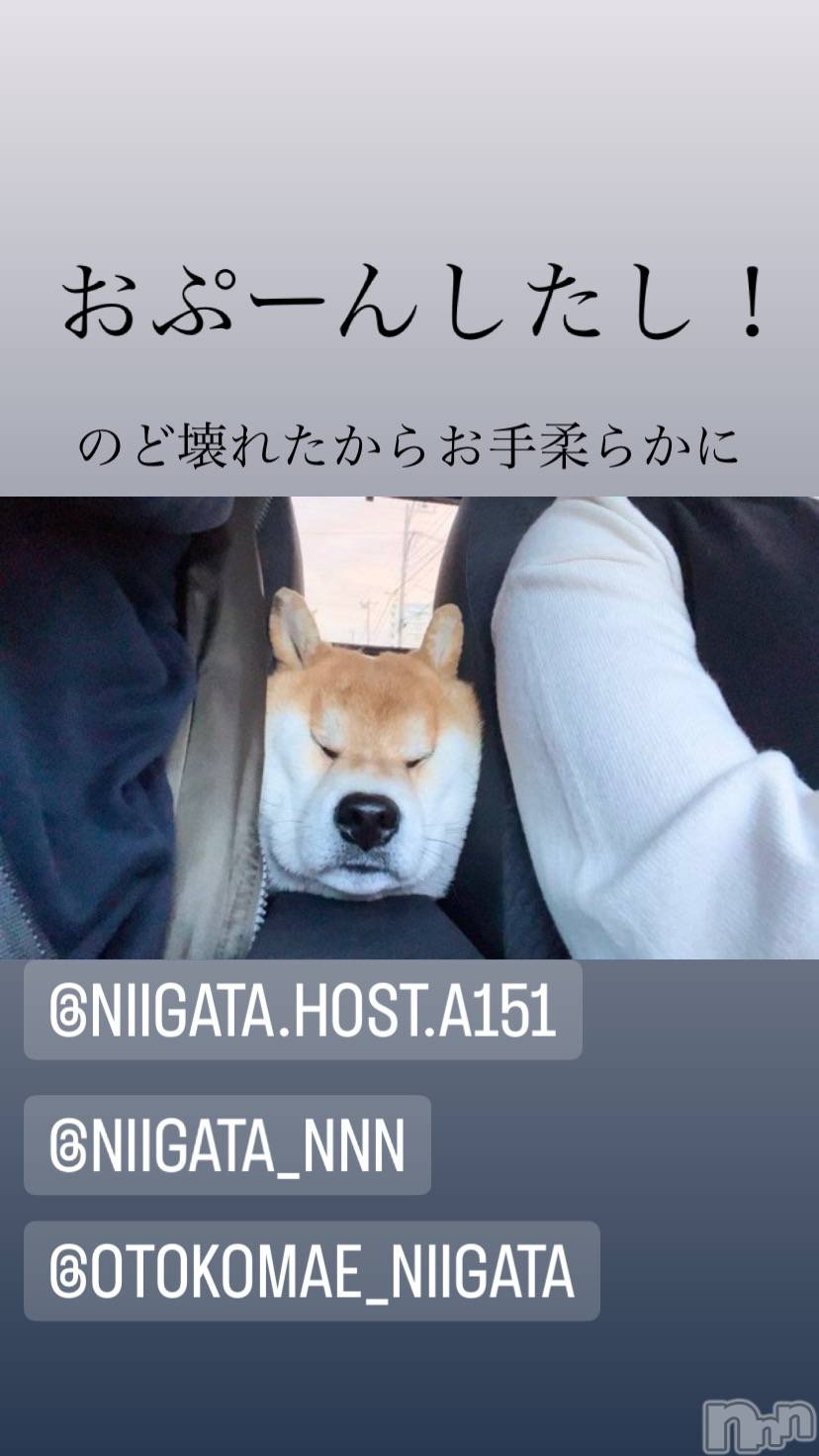 ��Į�ۥ��ȡ��ܡ������С�A151(�����������ݥ���) ��2023ǯ8��20���̥�֥�������������