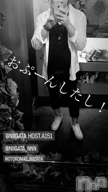 ��Į�ۥ��ȡ��ܡ������С�A151(�����������ݥ���) ��2023ǯ8��24���̥�֥�������������