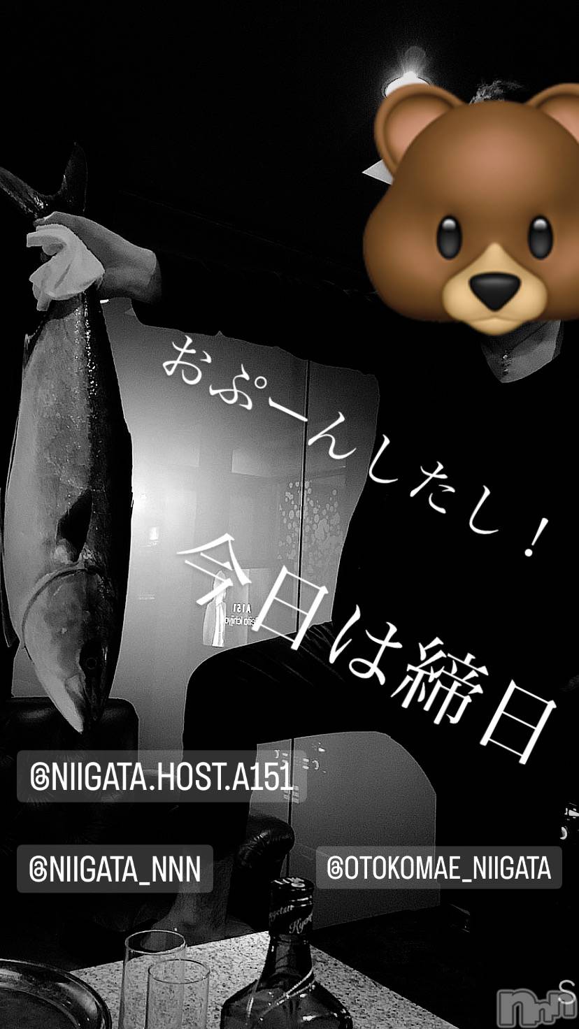 ��Į�ۥ��ȡ��ܡ������С�A151(�����������ݥ���) ��2023ǯ8��31���̥�֥�������������