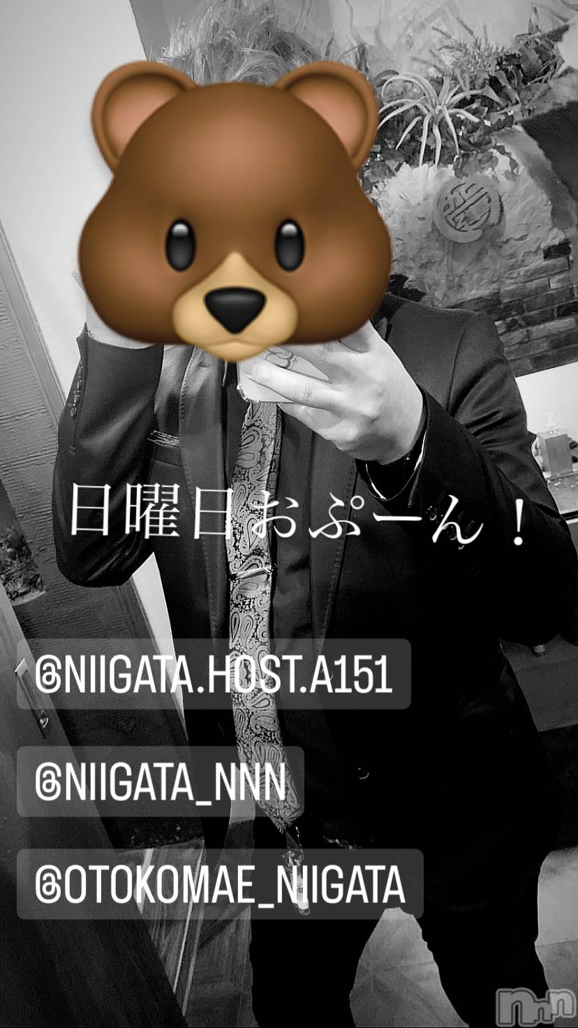 ��Į�ۥ��ȡ��ܡ������С�A151(�����������ݥ���) ��2023ǯ9��3���̥�֥�������������