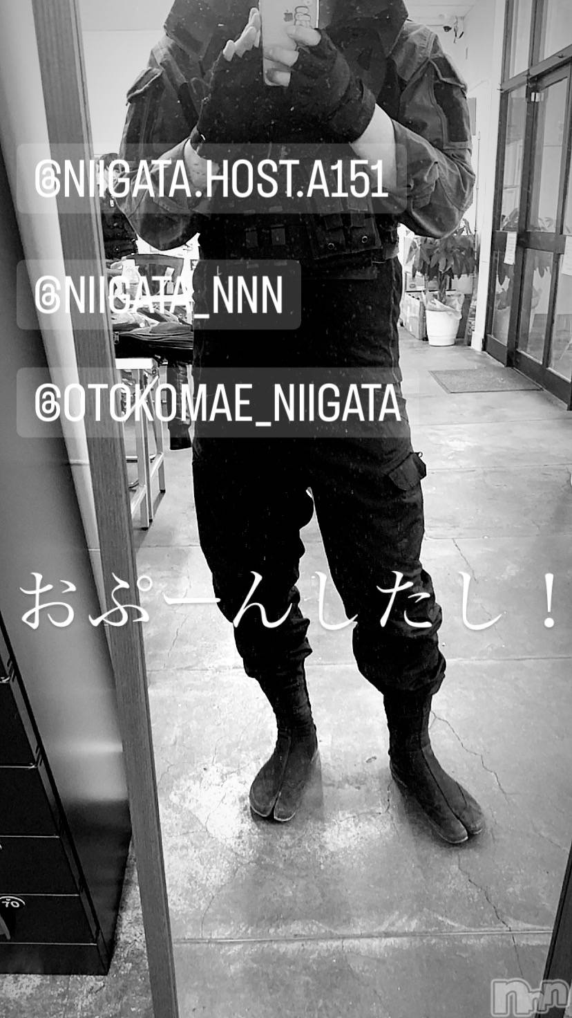 ��Į�ۥ��ȡ��ܡ������С�A151(�����������ݥ���) ��2023ǯ9��9���̥�֥�������������