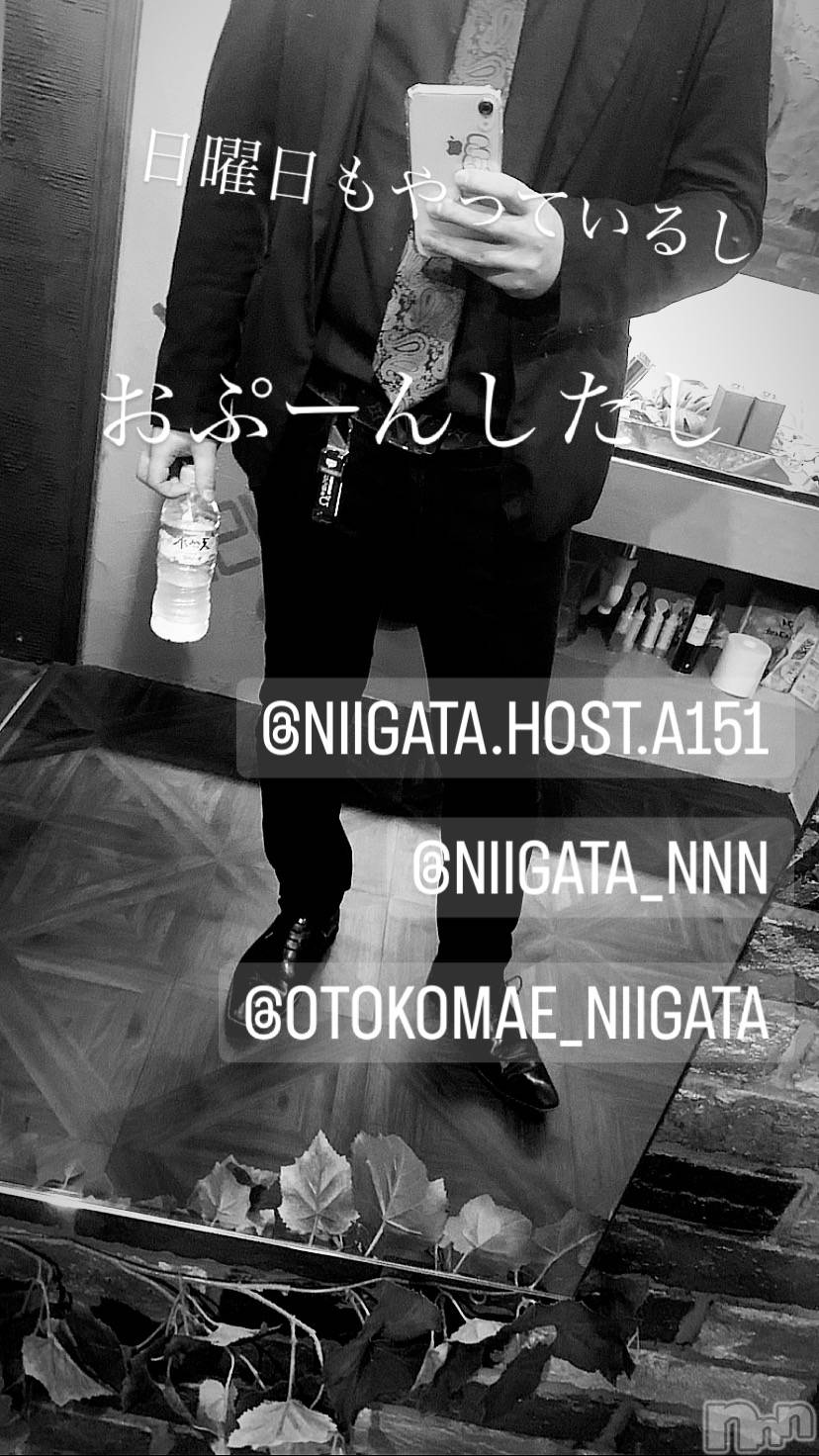 ��Į�ۥ��ȡ��ܡ������С�A151(�����������ݥ���) ��2023ǯ9��10���̥�֥�������������