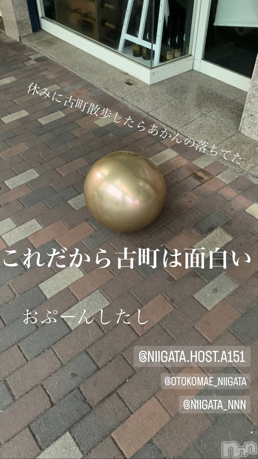 ��Į�ۥ��ȡ��ܡ������С�A151(�����������ݥ���) ��2023ǯ9��20���̥�֥����ֿ�������