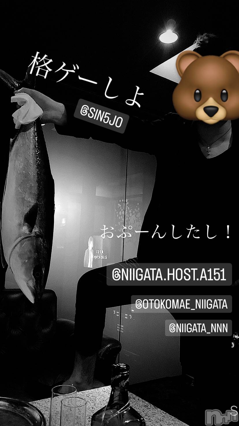 ��Į�ۥ��ȡ��ܡ������С�A151(�����������ݥ���) ��2023ǯ9��24���̥�֥�������������