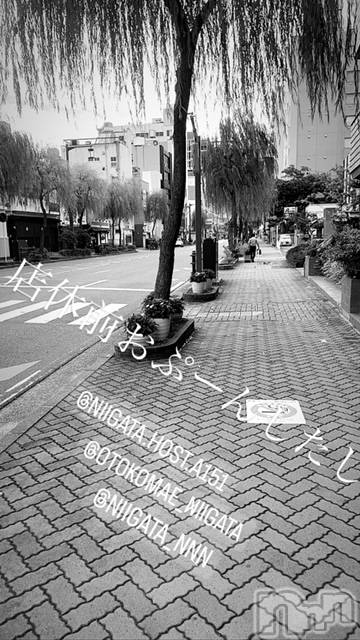 ��Į�ۥ��ȡ��ܡ������С�A151(�����������ݥ���) ��2023ǯ9��25���̥�֥����ַ�������