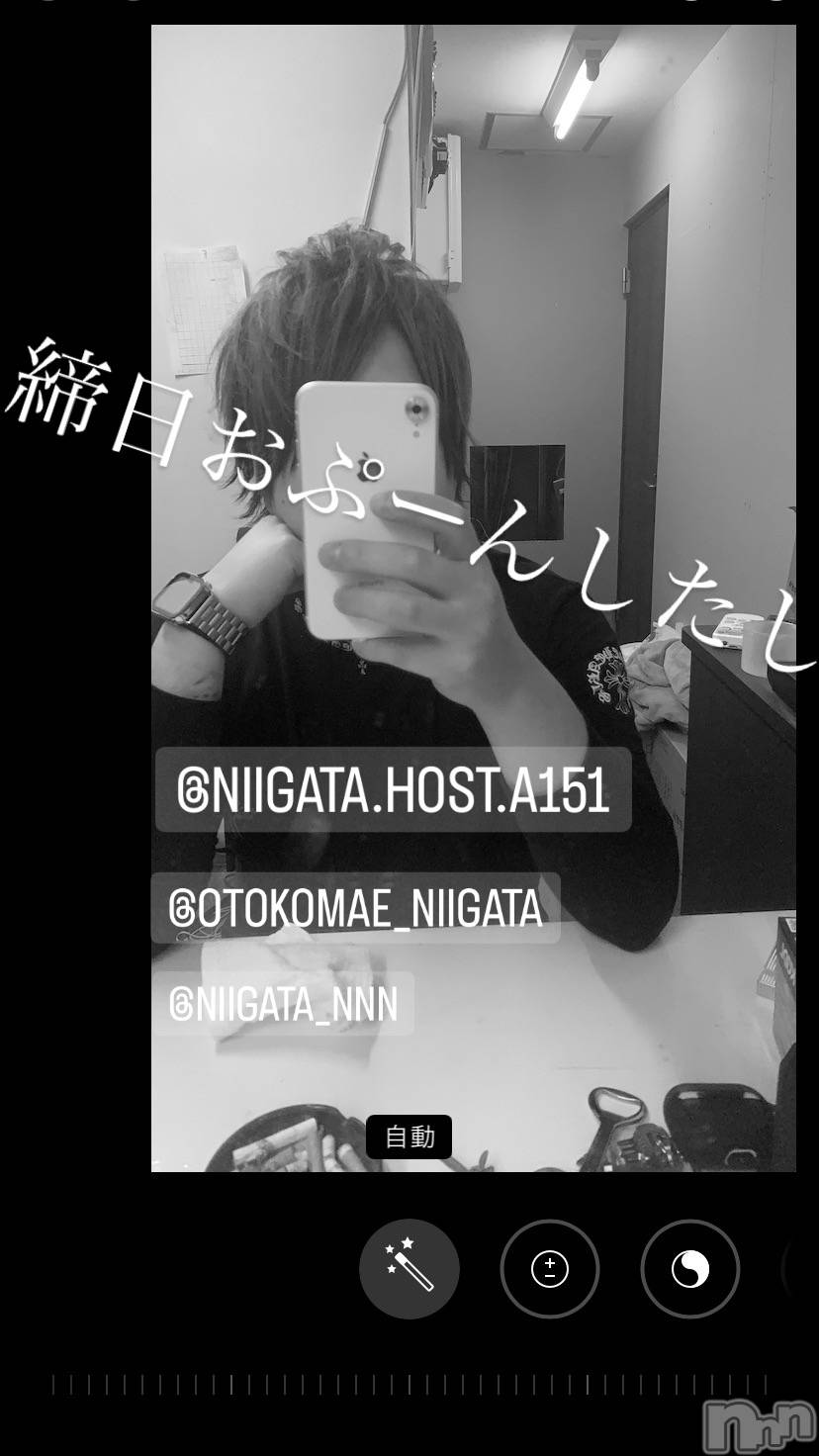 ��Į�ۥ��ȡ��ܡ������С�A151(�����������ݥ���) ��2023ǯ9��30���̥�֥�������������