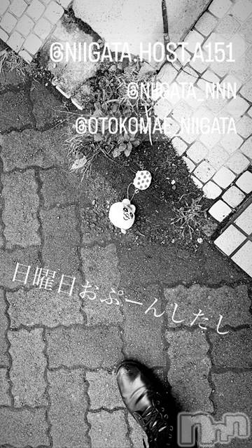 ��Į�ۥ��ȡ��ܡ������С�A151(�����������ݥ���) ��2023ǯ11��5���̥�֥�������������