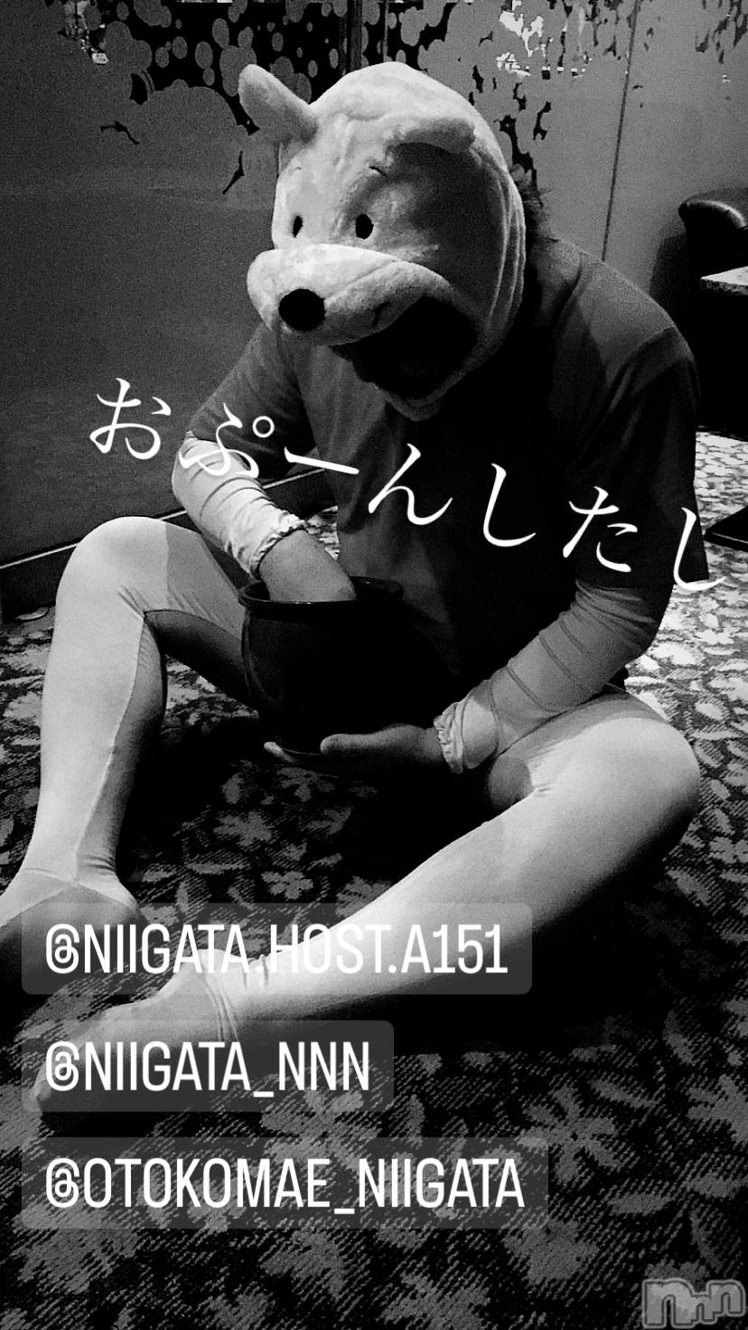 ��Į�ۥ��ȡ��ܡ������С�A151(�����������ݥ���) ��2023ǯ11��6���̥�֥����ַ�������