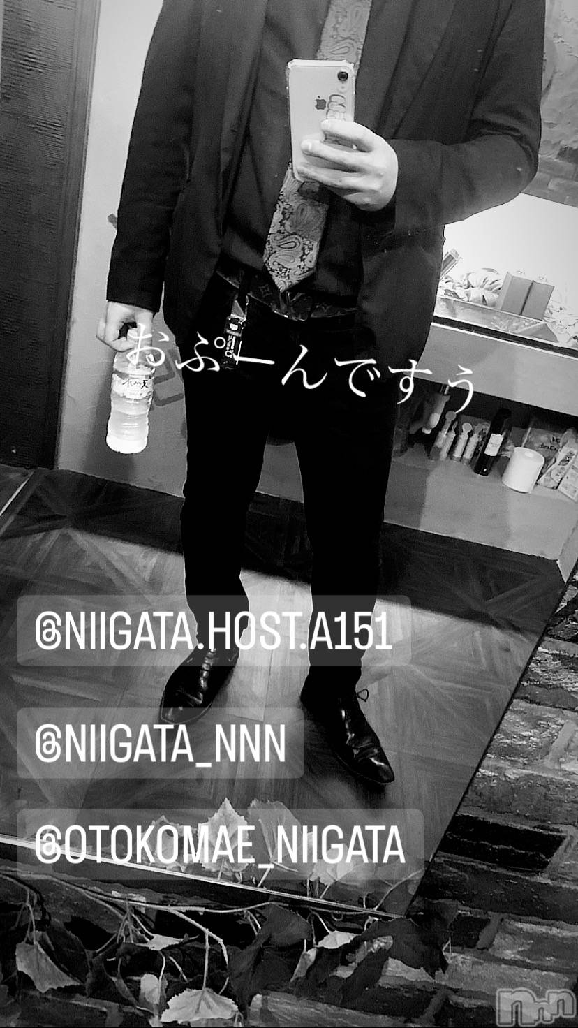 ��Į�ۥ��ȡ��ܡ������С�A151(�����������ݥ���) ��2023ǯ11��8���̥�֥����ֿ�������