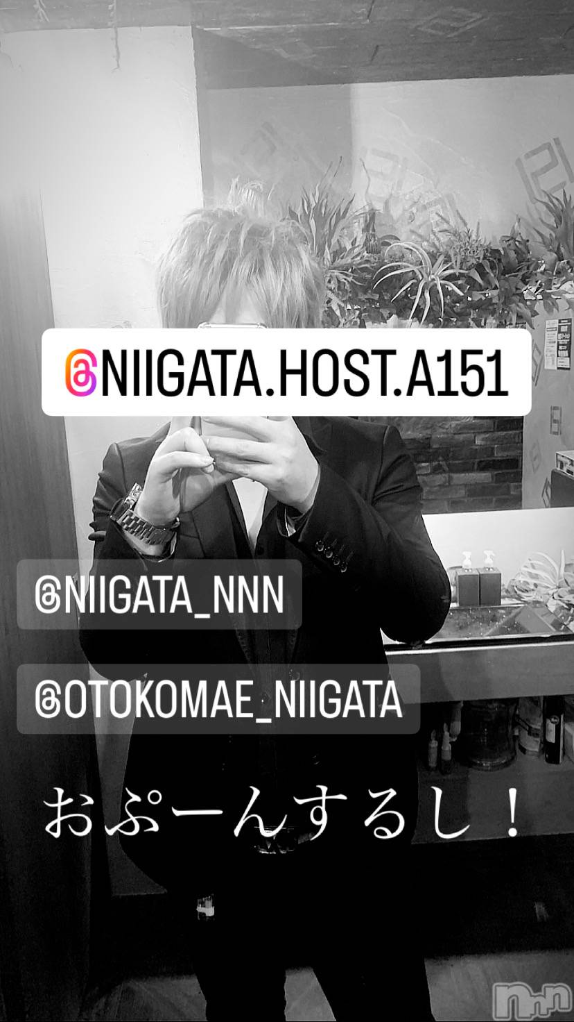 ��Į�ۥ��ȡ��ܡ������С�A151(�����������ݥ���) ��2023ǯ11��12���̥�֥�������������