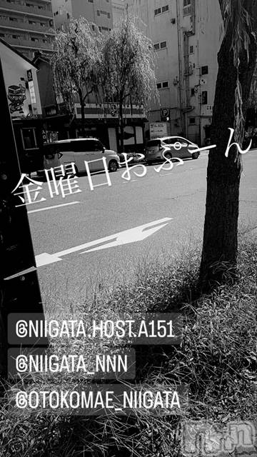 ��Į�ۥ��ȡ��ܡ������С�A151(�����������ݥ���) ��2023ǯ11��17���̥�֥����ֶ�������