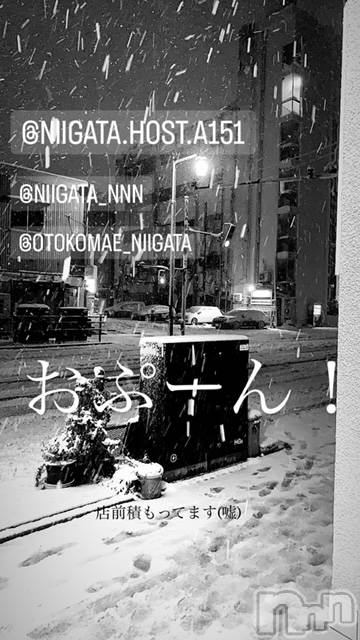 ��Į�ۥ��ȡ��ܡ������С�A151(�����������ݥ���) ��2023ǯ11��18���̥�֥�������������