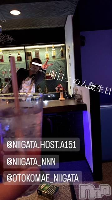 ��Į�ۥ��ȡ��ܡ������С�A151(�����������ݥ���) ��2023ǯ12��7���̥�֥�������������