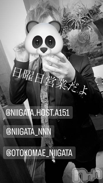 ��Į�ۥ��ȡ��ܡ������С�A151(�����������ݥ���) ��2023ǯ12��10���̥�֥�������������