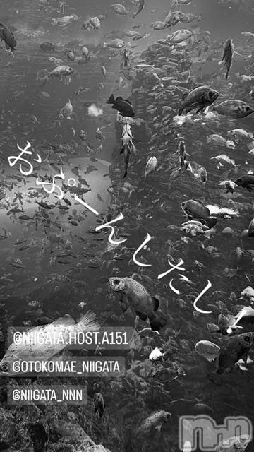 ��Į�ۥ��ȡ��ܡ������С�A151(�����������ݥ���) ��2023ǯ12��20���̥�֥����ֿ�������