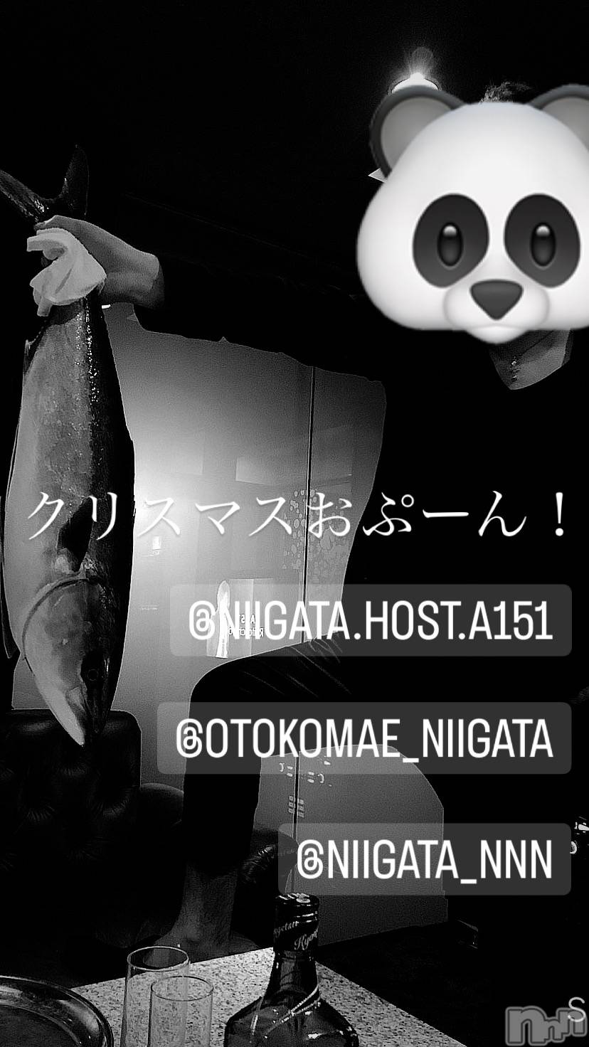 ��Į�ۥ��ȡ��ܡ������С�A151(�����������ݥ���) ��2023ǯ12��24���̥�֥�������������