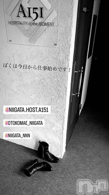 ��Į�ۥ��ȡ��ܡ������С�A151(�����������ݥ���) ��2024ǯ1��5���̥�֥����ֶ�������