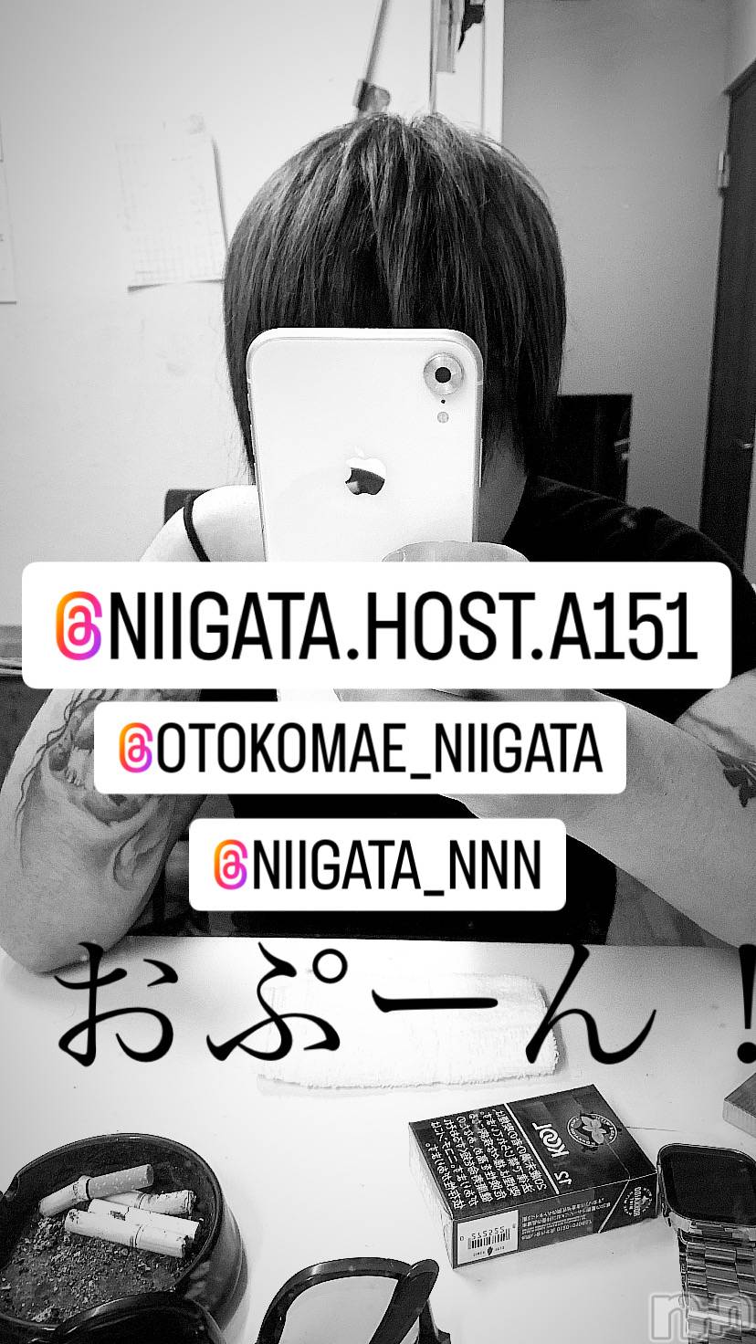 ��Į�ۥ��ȡ��ܡ������С�A151(�����������ݥ���) ��2024ǯ1��6���̥�֥�������������