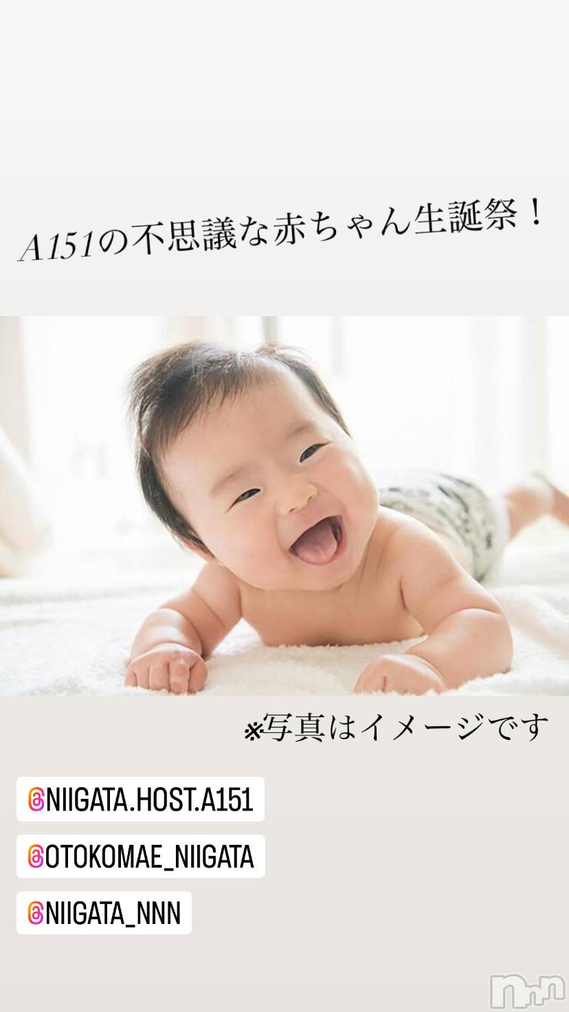 ��Į�ۥ��ȡ��ܡ������С�A151(�����������ݥ���) ��2024ǯ1��10���̥�֥����ֿ�������