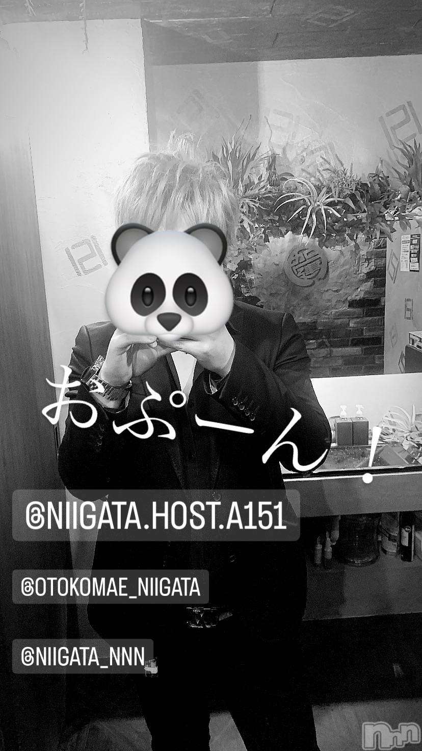 ��Į�ۥ��ȡ��ܡ������С�A151(�����������ݥ���) ��2024ǯ1��11���̥�֥�������������