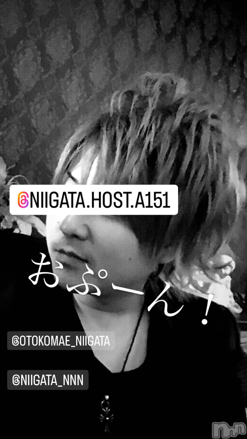 ��Į�ۥ��ȡ��ܡ������С�A151(�����������ݥ���) ��2024ǯ1��13���̥�֥�������������