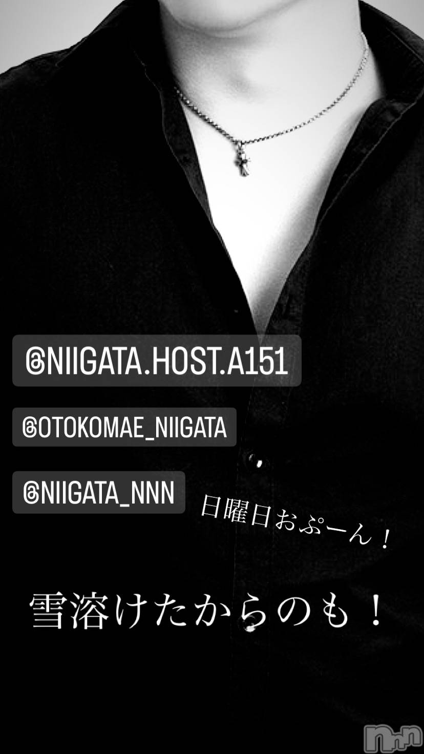 ��Į�ۥ��ȡ��ܡ������С�A151(�����������ݥ���) ��2024ǯ1��14���̥�֥�������������