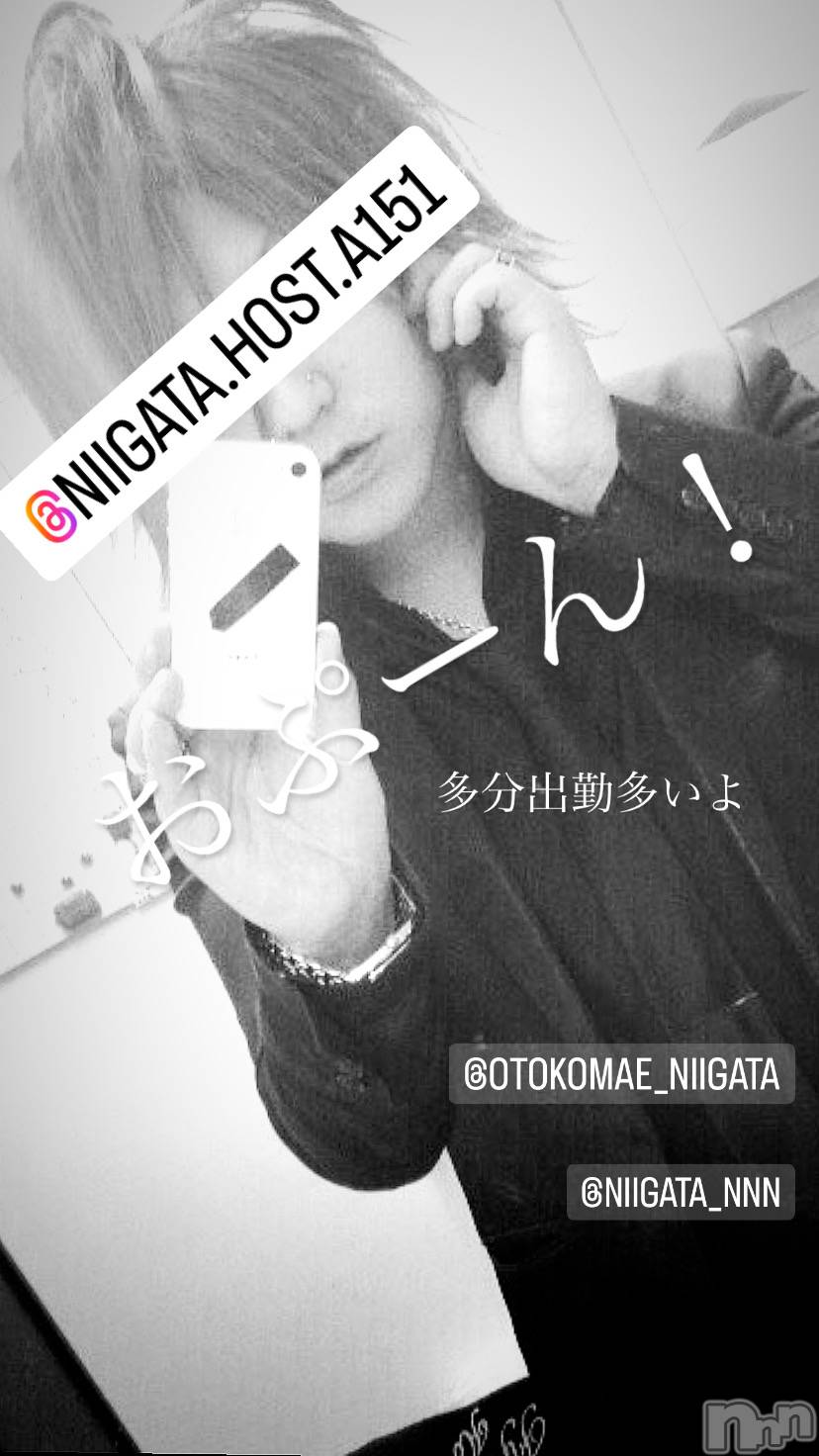 ��Į�ۥ��ȡ��ܡ������С�A151(�����������ݥ���) ��2024ǯ1��17���̥�֥����ֿ�������