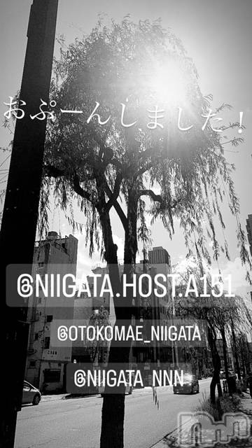 ��Į�ۥ��ȡ��ܡ������С�A151(�����������ݥ���) ��2024ǯ1��18���̥�֥�������������